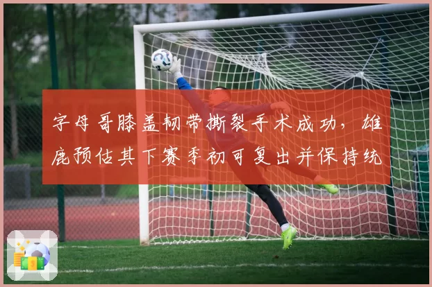 字母哥膝盖韧带撕裂手术成功，雄鹿预估其下赛季初可复出并保持统治力