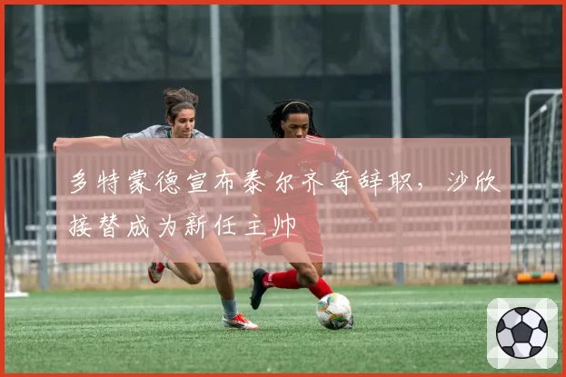 多特蒙德宣布泰尔齐奇辞职,沙欣接替成为新任主帅