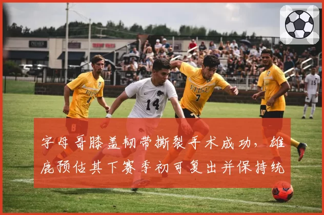 字母哥膝盖韧带撕裂手术成功，雄鹿预估其下赛季初可复出并保持统治力